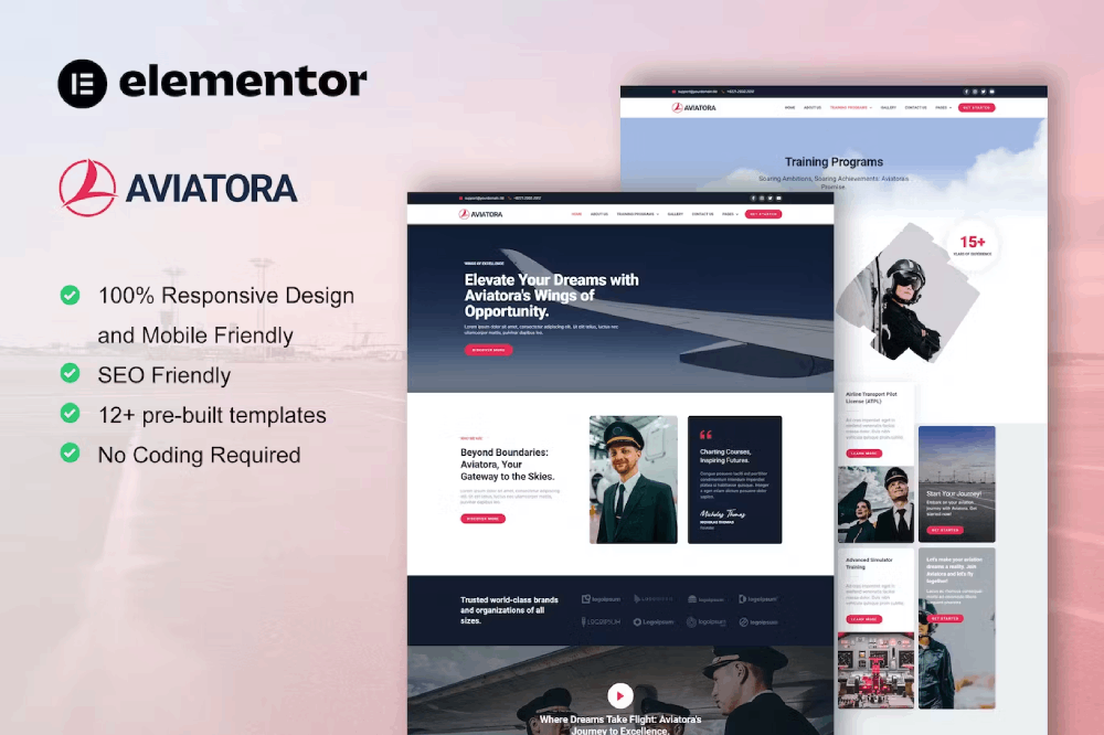 Aviatora Flight School Elementor Pro Template Kit